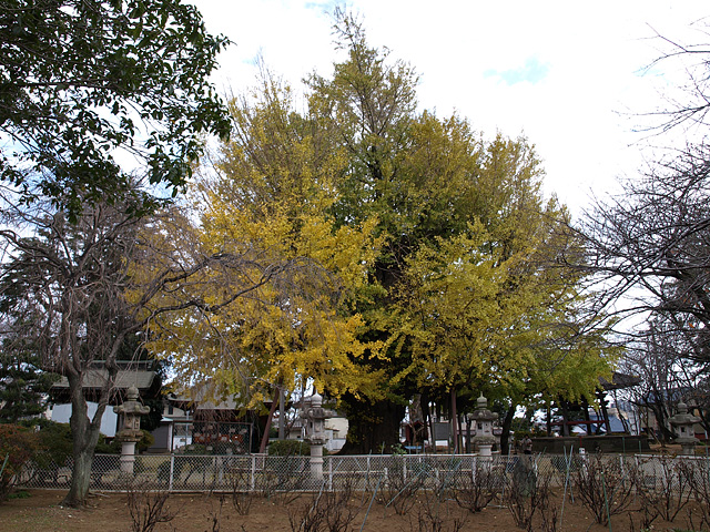 b0006870_22321523.jpg