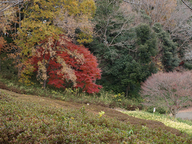 b0006870_22463686.jpg