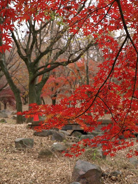 b0006870_22465118.jpg