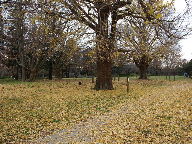 b0006870_22472915.jpg