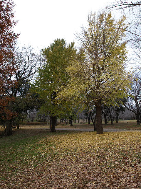 b0006870_2247414.jpg