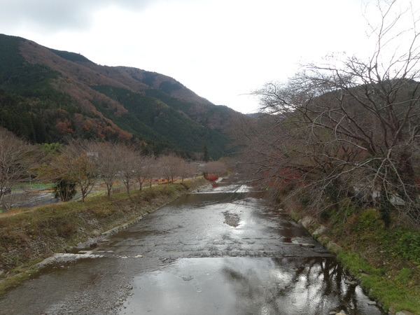 c0066176_015670.jpg