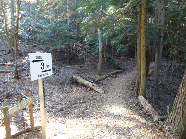 c0066176_8194573.jpg