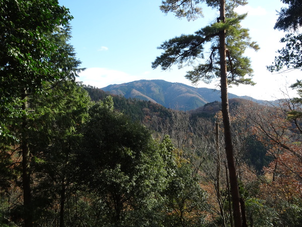 c0066176_853837.jpg