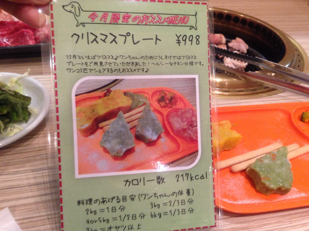 いぬのきもちフェスタと焼肉とクリスマスイルミ_b0184877_1032173.jpg