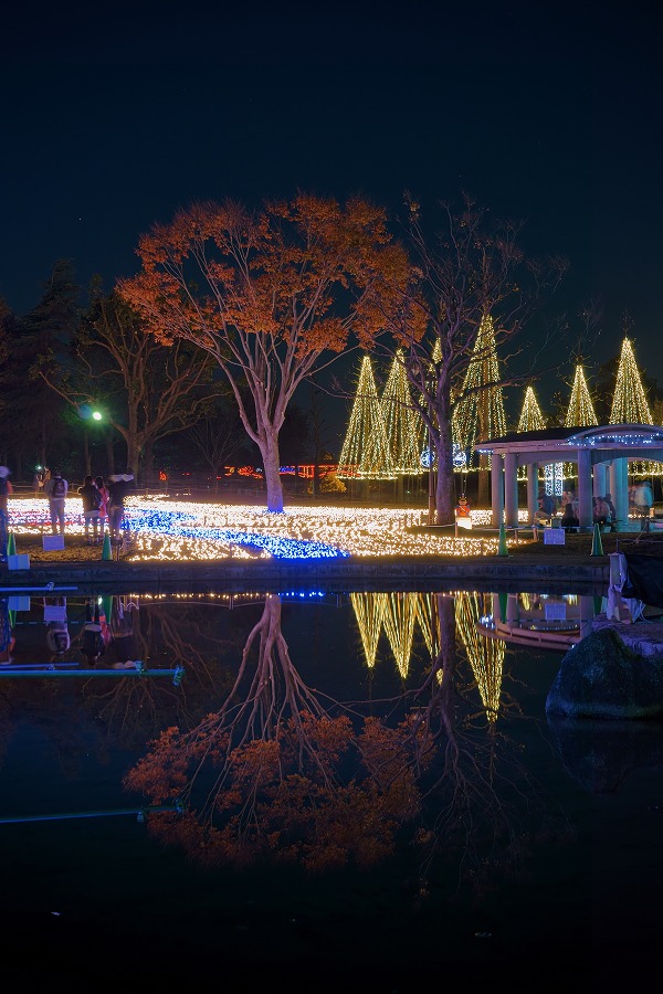 木曽三川公園センター　冬の光物語２０１３_e0244181_12453036.jpg