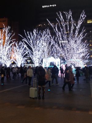 娘のお付き合い_f0316481_10465194.jpg