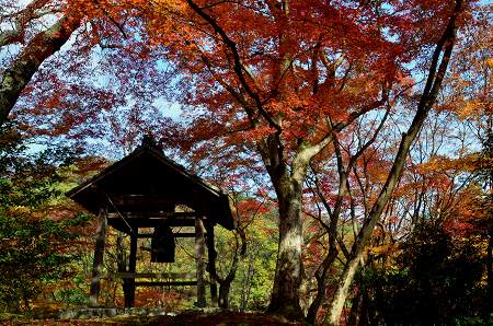 地蔵寺の紅葉 ②_c0229483_8371272.jpg