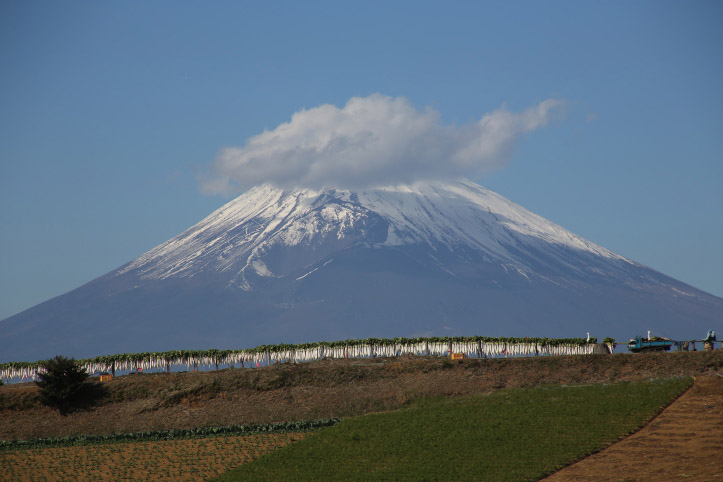 三島市　暮の風物詩　ダイコン干し　前半_e0165983_1254350.jpg