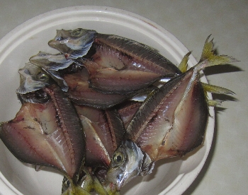 f0003283_11234659.jpg