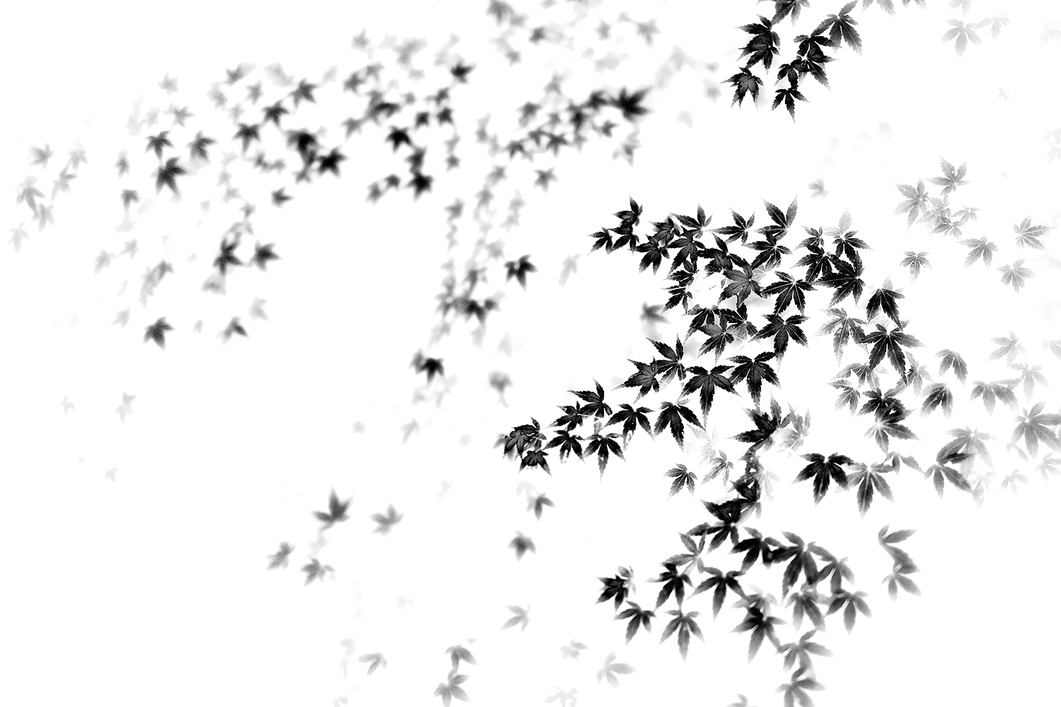 a0141586_7581029.jpg
