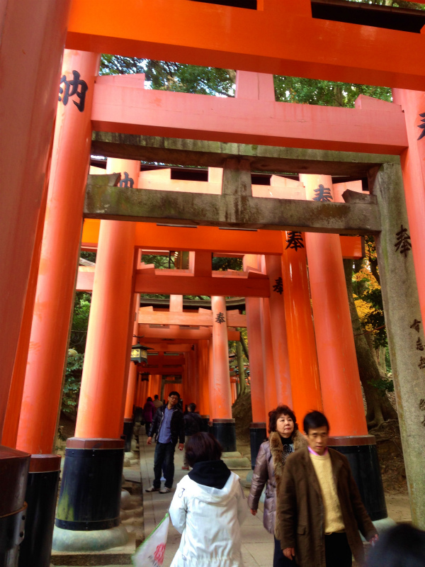 2013/12/08 東山36峰マウンテンマラソン_b0220886_18404098.jpg