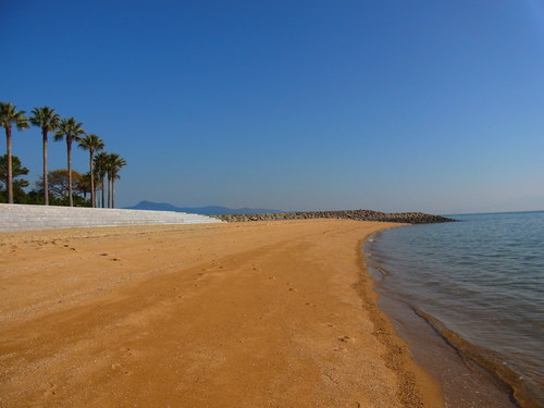a0214490_1755238.jpg
