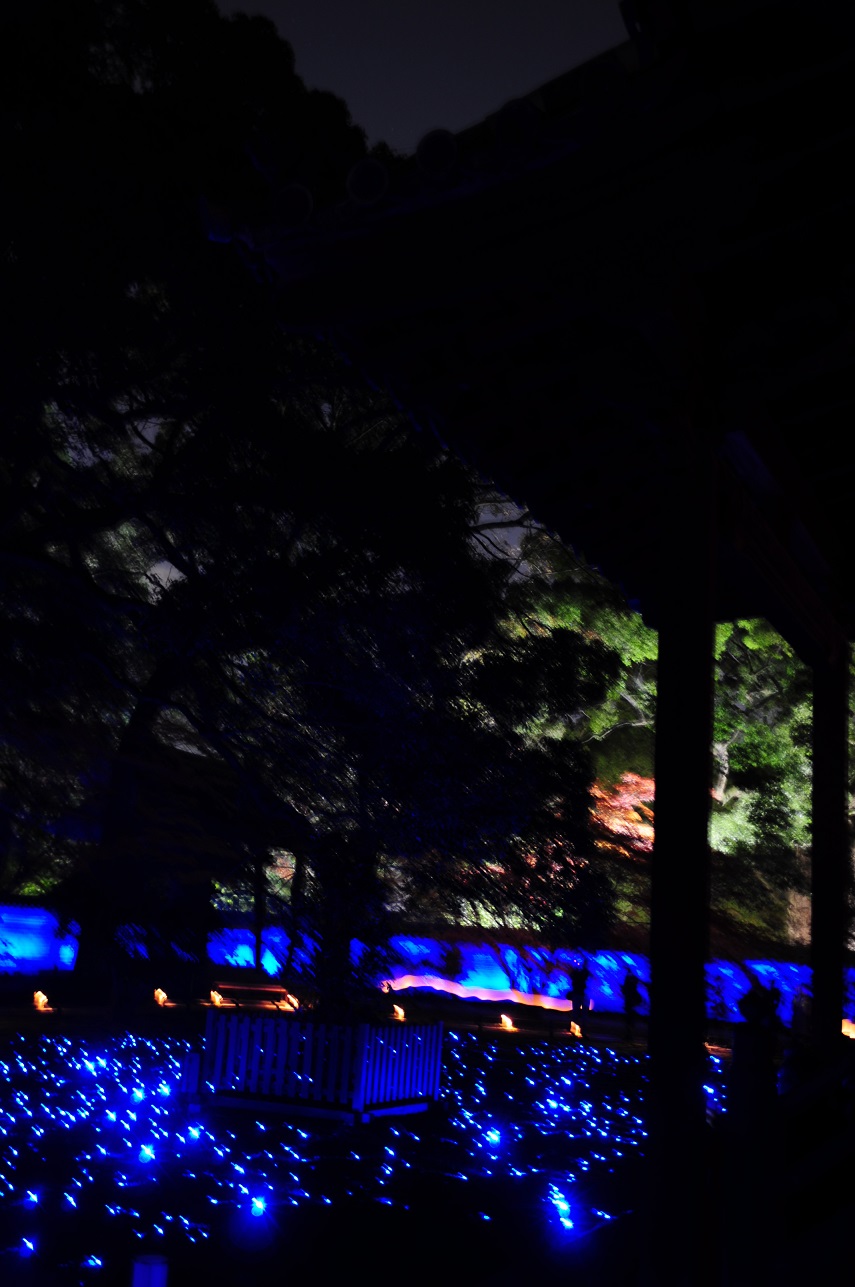 e0244492_12294392.jpg