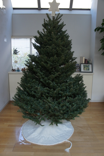 f0083294_23242240.jpg