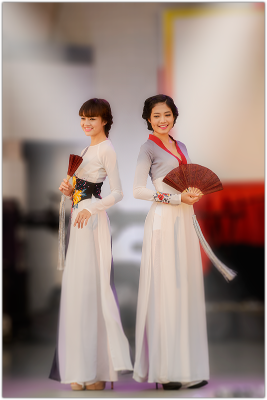 アオザイショウ （Vietnam Festival 2013）_f0105694_059192.png