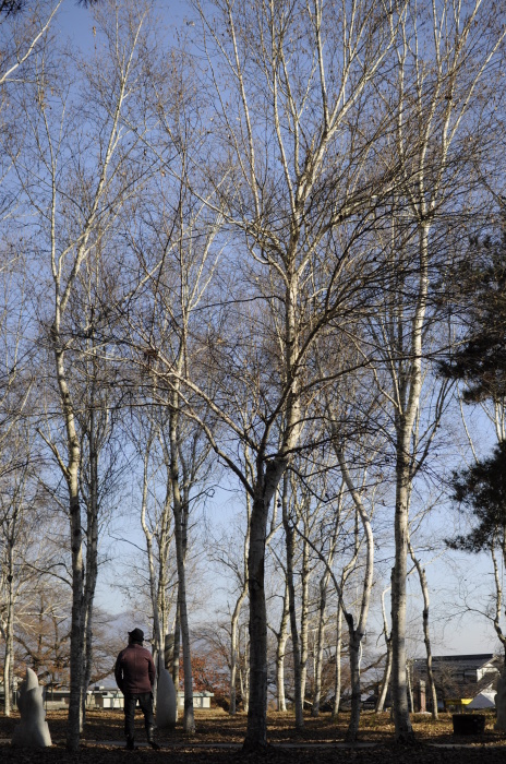 a0259398_19215446.jpg