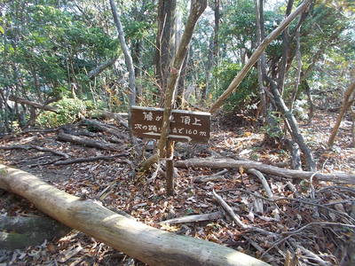f0308898_16571526.jpg