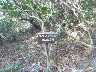 f0308898_16592238.jpg