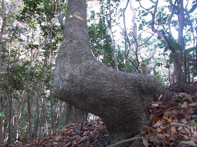 f0308898_17282045.jpg