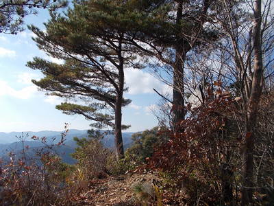 f0308898_17295620.jpg