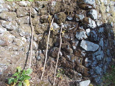 f0308898_17372138.jpg