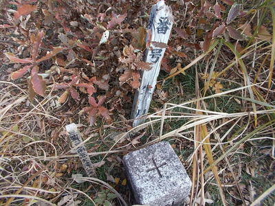 f0308898_1781623.jpg