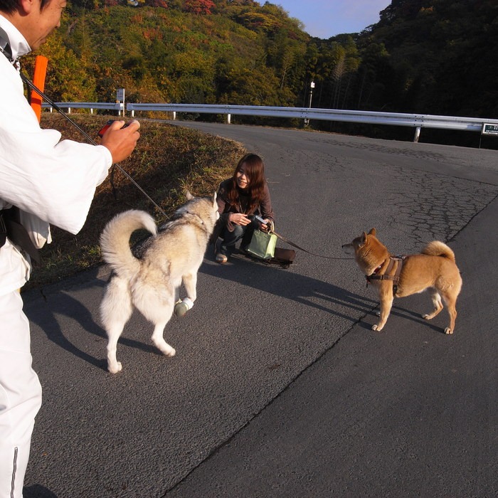 Memory of the second pilgrimage with Husky HANA II_c0049299_2132209.jpg