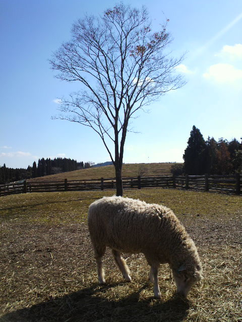e0175702_22133485.jpg