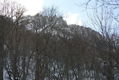 新雪の谷川岳虹芝寮に遊ぶ_c0242406_21311357.jpg