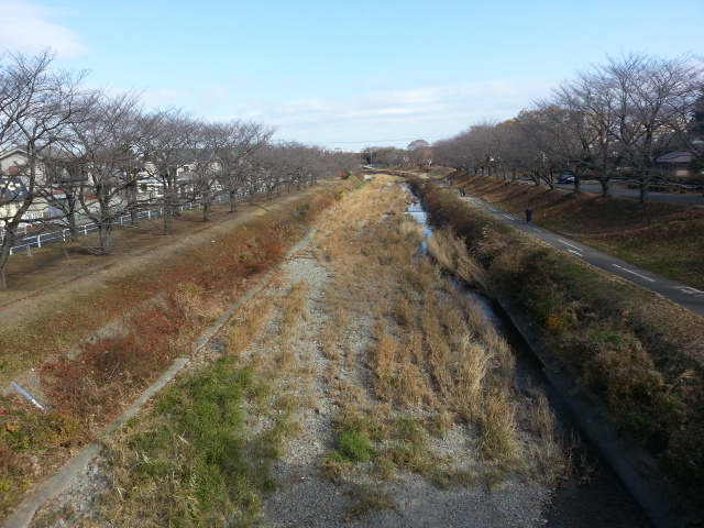12/8 ゆうひが丘の総理大臣&あさひが丘の大統領 ロケ地訪問@南浅川橋_b0042308_0455423.jpg