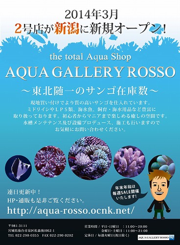 ROSSO新展開！！！_b0240608_2046573.jpg