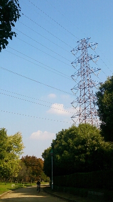 c0118809_15342849.jpg