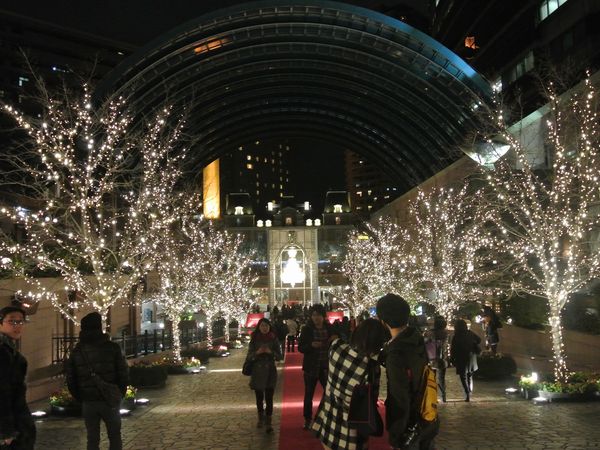 f0006510_23362953.jpg