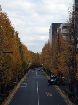 c0135618_195559100.jpg