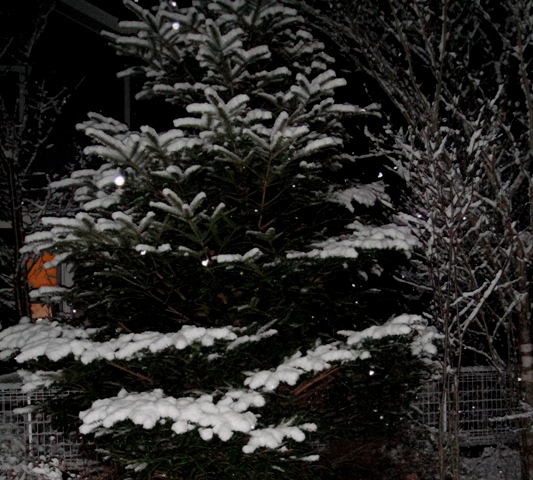 a0304423_0282390.jpg