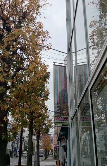 土曜日の落ち葉掃きは社長の仕事。_d0148223_10264870.jpg