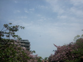 d0149223_2325869.jpg