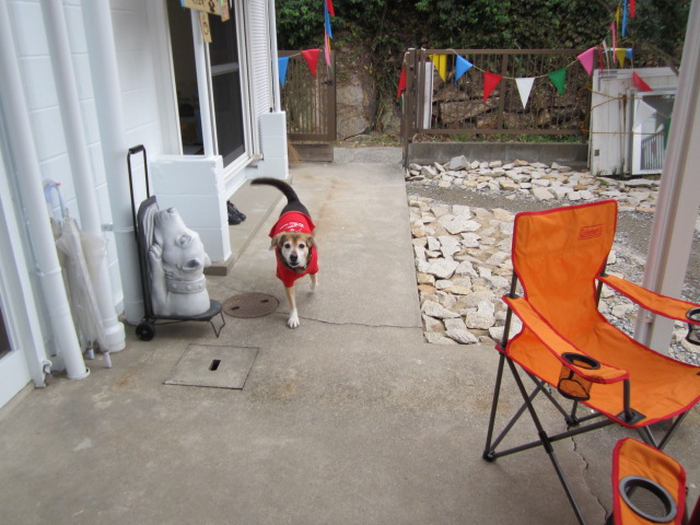 犬島ハウスプロジェクト《犬島の島犬》_f0319323_22554012.jpg