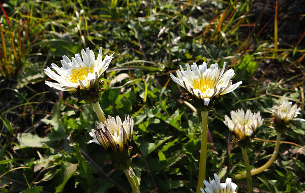 b0211627_17115563.jpg