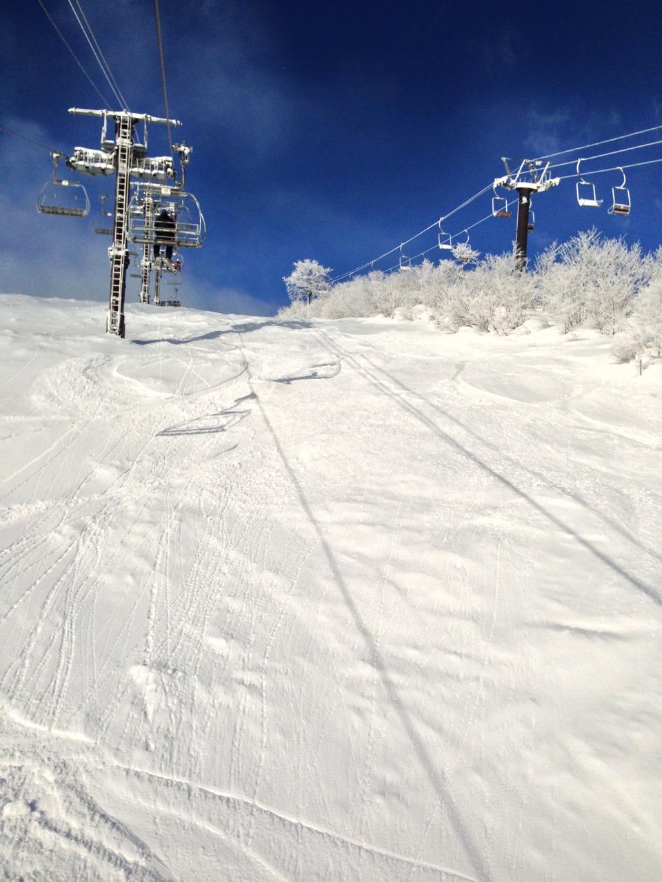 c0225927_1228555.jpg