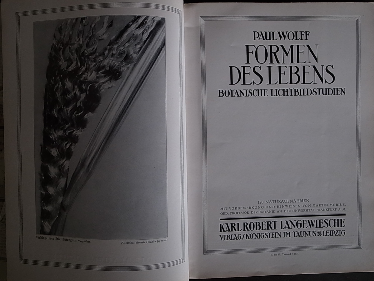 FORMEN DES LEBENS / Dr. Paul Wolff_a0227034_14363464.jpg