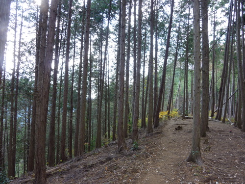 b0298935_0113363.jpg