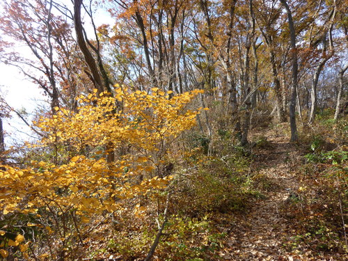 b0298935_012419.jpg