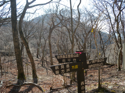 鶴見岳＆南平台の落葉樹林路を歩く！_e0272335_18494125.jpg