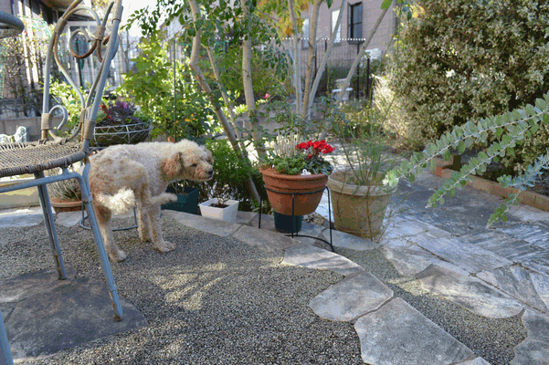c0136736_1840682.gif