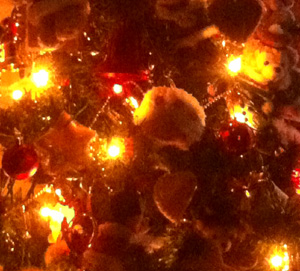 c0036138_17394155.jpg