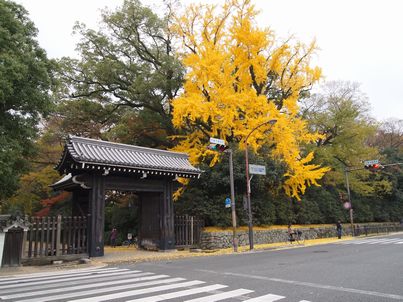 d0079440_20143914.jpg