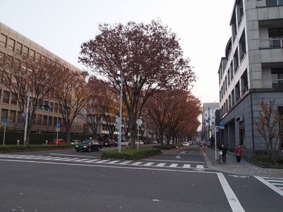 d0079440_23241728.jpg
