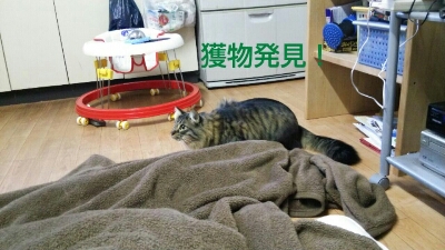 a0193441_7241567.jpg